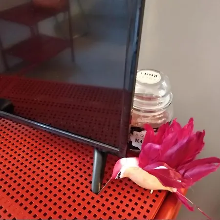 Fabretti House - Centro Storico