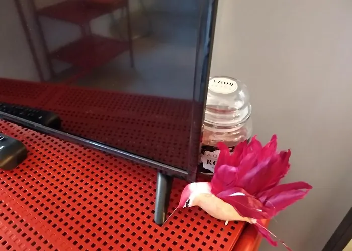 Fabretti House - Centro Storico